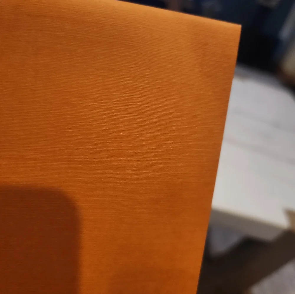 Louis Vuitton Orange Envelope